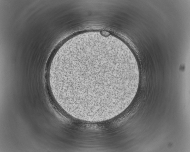 X0000116780439201001281125