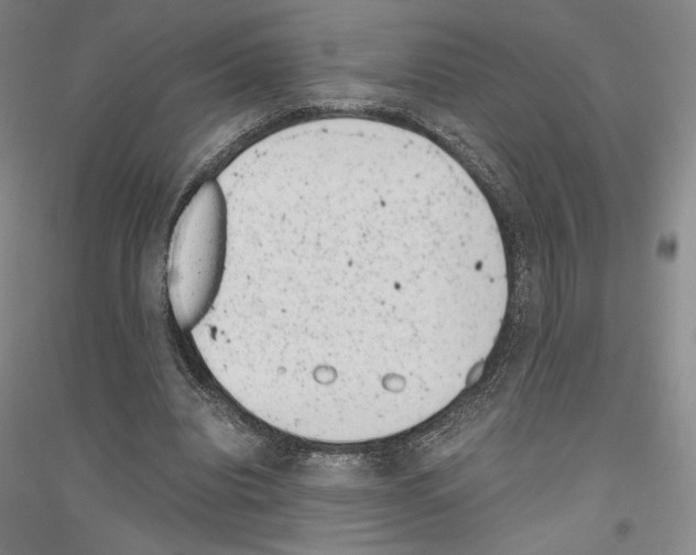 X0000116780440201001281125