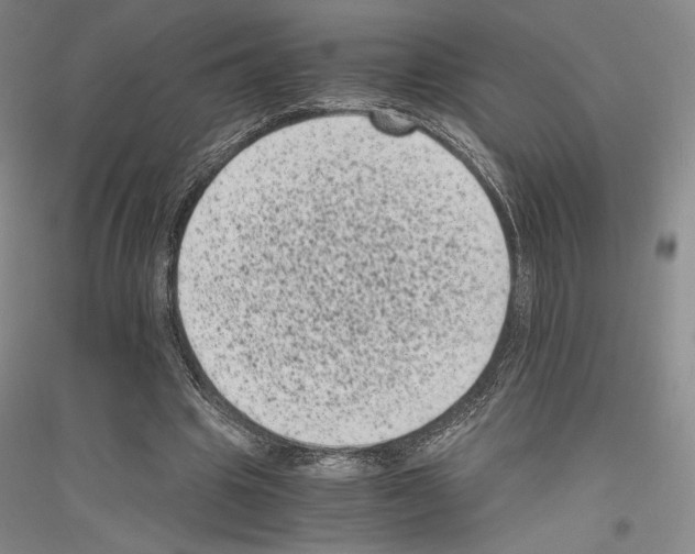 X0000116780441201001281125