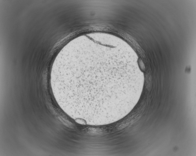 X0000116780442201001281125