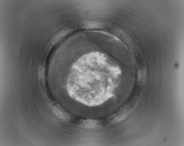 X0000116780444201001281125