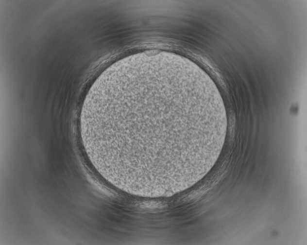 X0000116780445201001281125