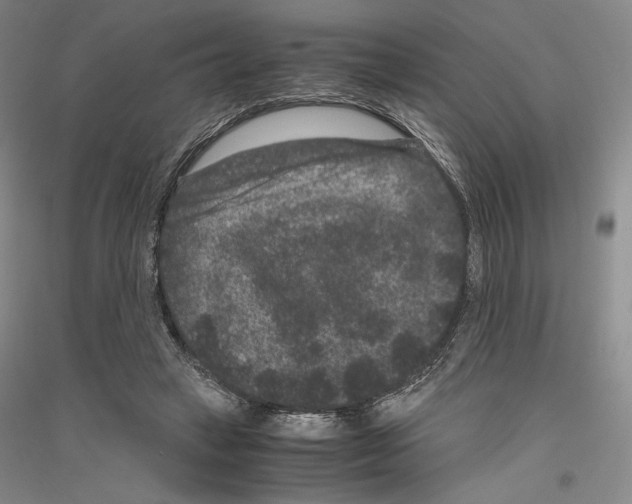 X0000116780449201001281125