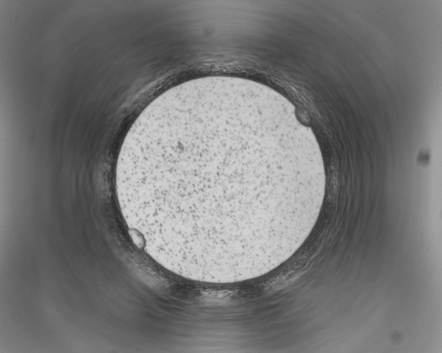 X0000116780450201001281125