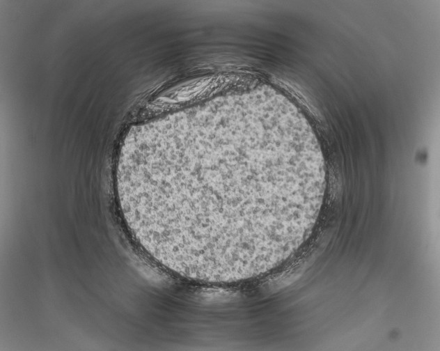 X0000116780453201001281125