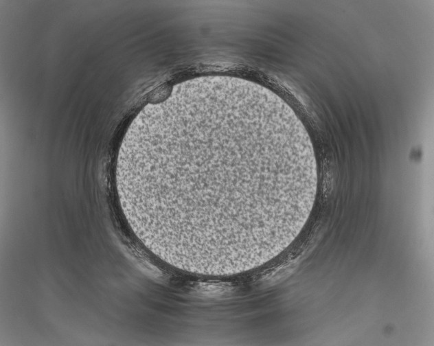 X0000116780455201001281125