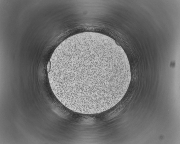 X0000116780456201001281125