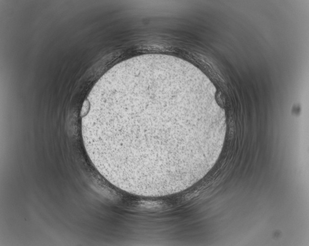 X0000116780457201001281125