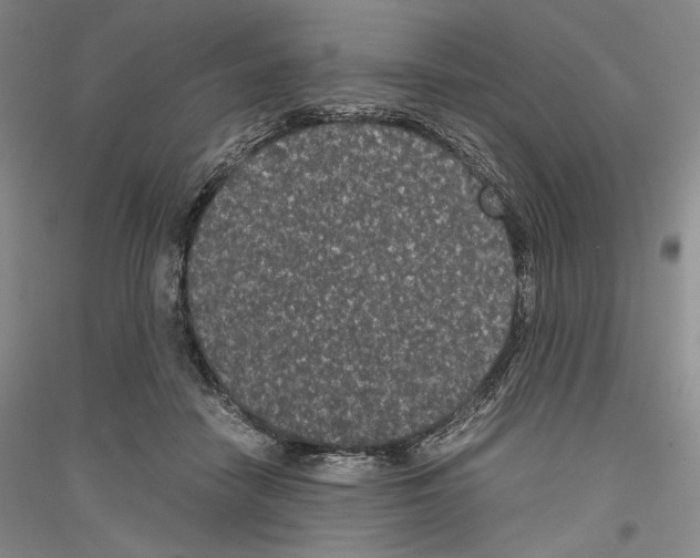 X0000116780458201001281125