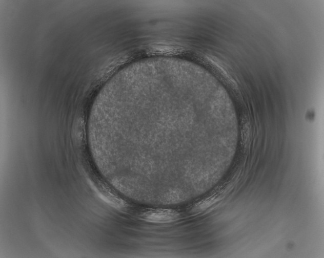 X0000116780459201001281125