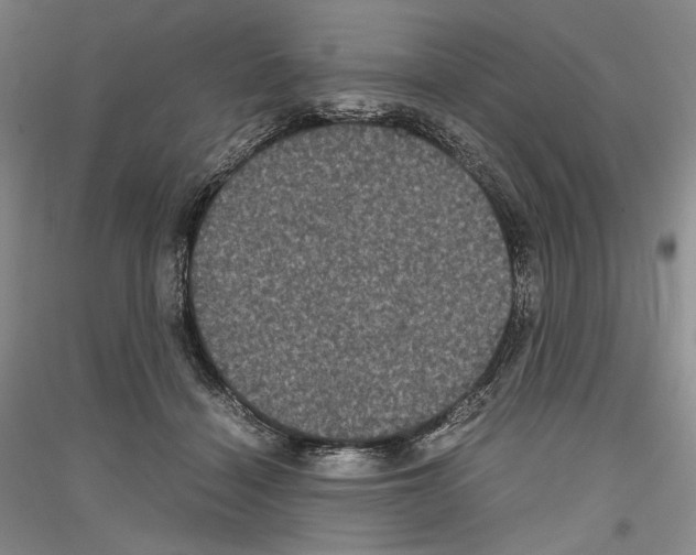 X0000116780460201001281125