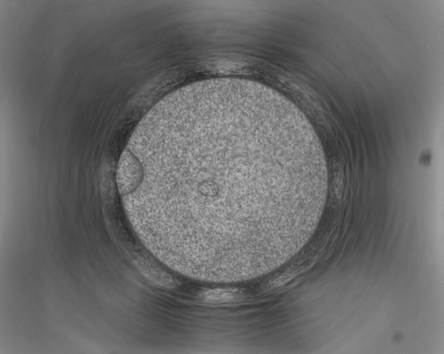 X0000116780461201001281125