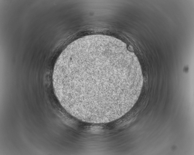 X0000116780462201001281125