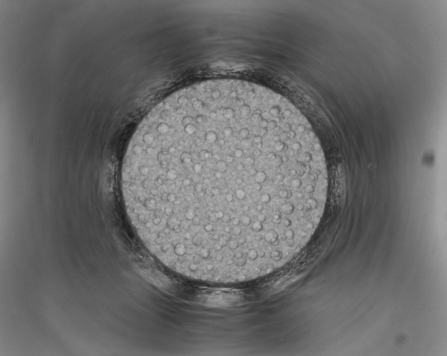 X0000116780463201001281125