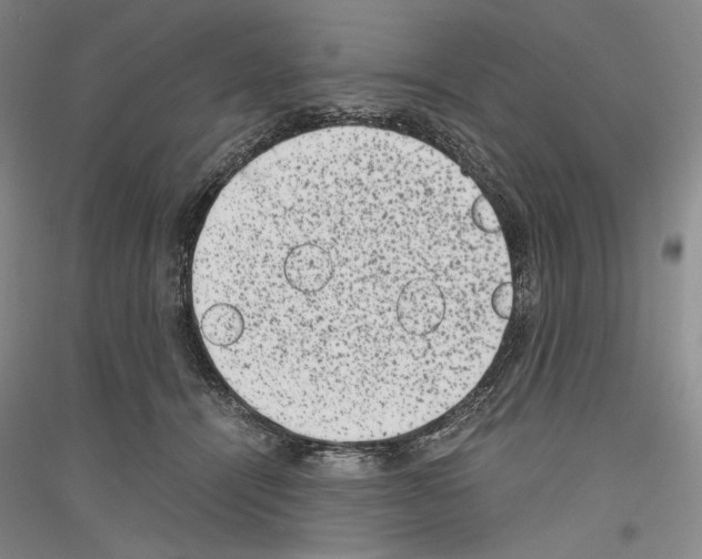 X0000116780464201001281125