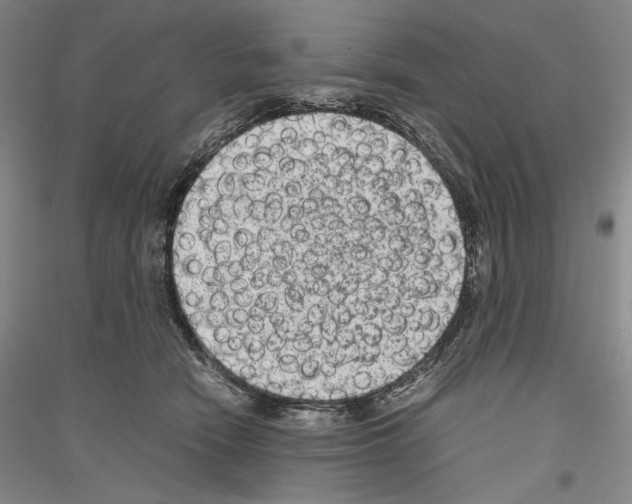 X0000116780466201001281125