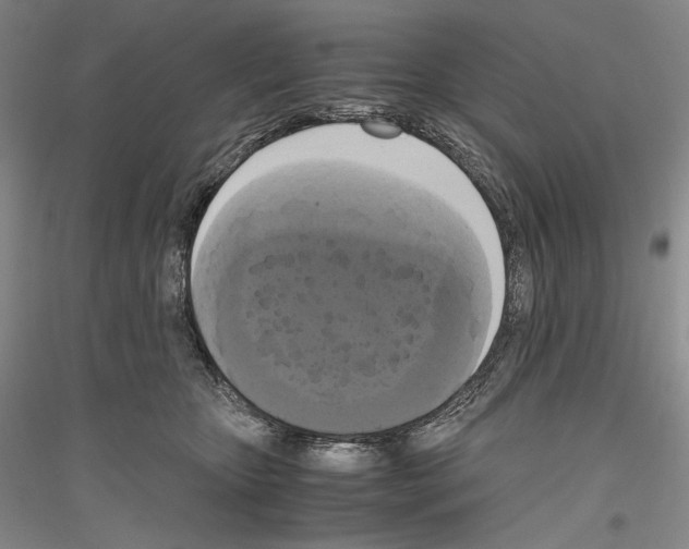 X0000116780467201001281125