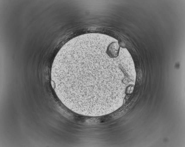 X0000116780470201001281125