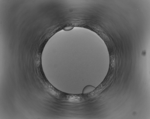 X0000116780471201001281125