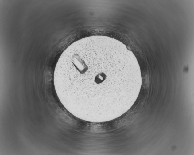 X0000116780472201001281125