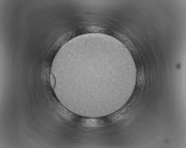 X0000116780473201001281125