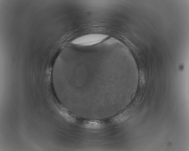 X0000116780475201001281125