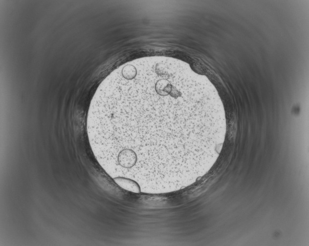 X0000116780476201001281125