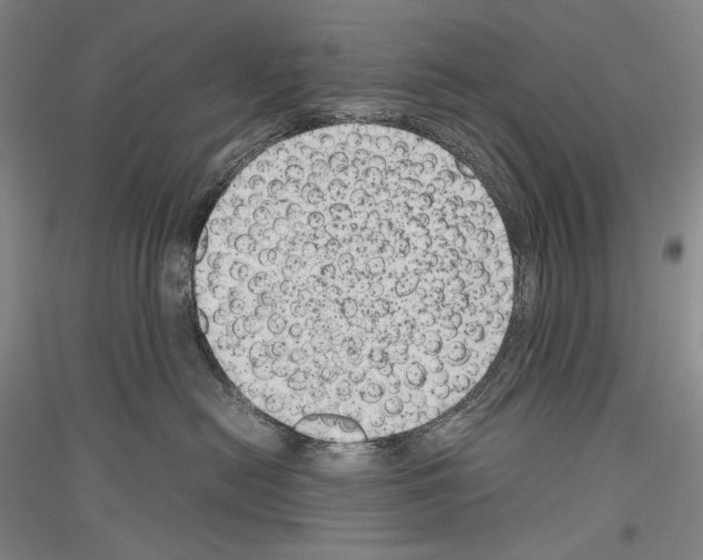 X0000116780478201001281125