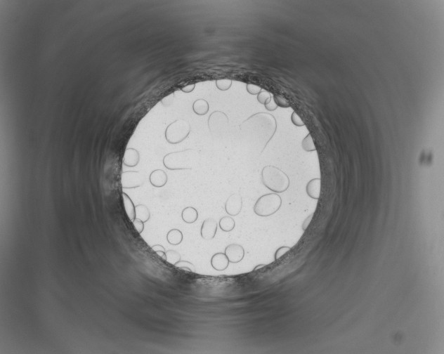 X0000116780480201001281125