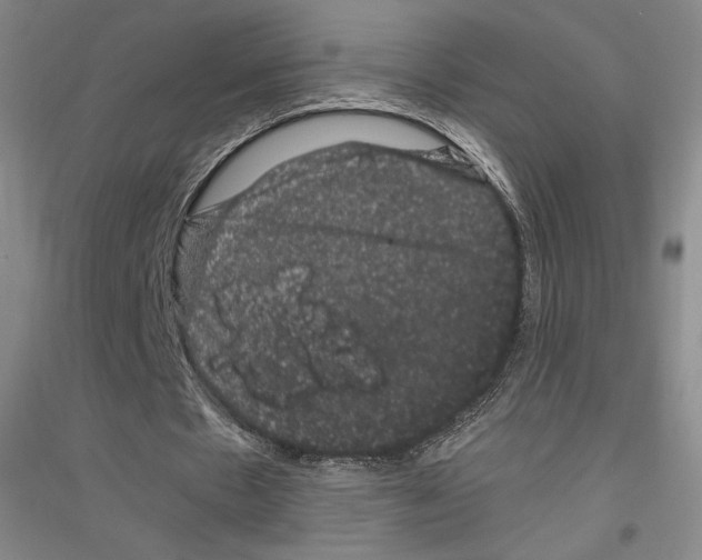 X0000116780481201001281125