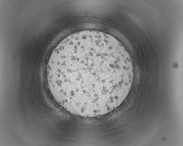 X0000116780482201001281125