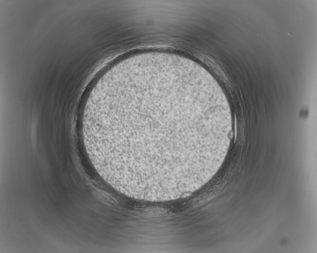 X0000116780483201001281125