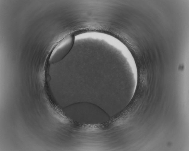 X0000116780488201001281125