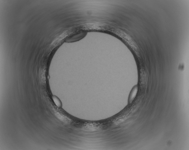 X0000116780489201001281124