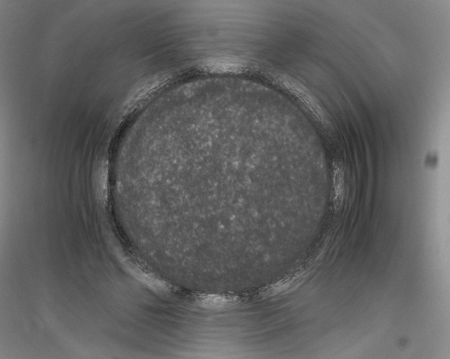 X0000116780494201001281124