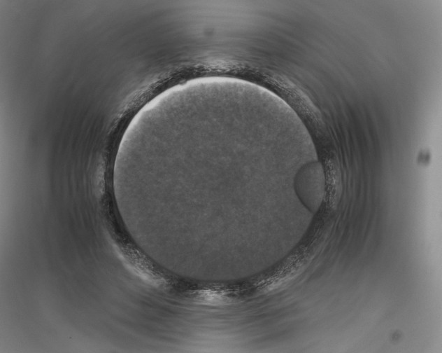 X0000116780496201001281124