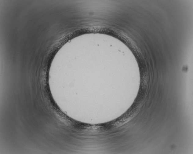 X0000116780497201001281124