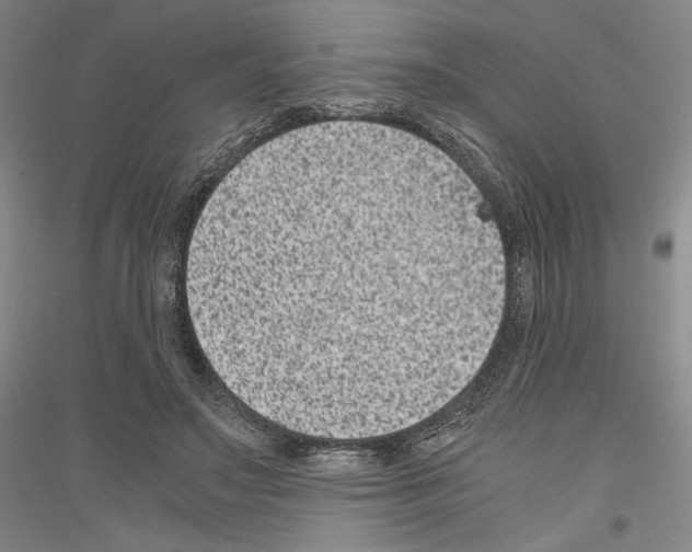 X0000116780499201001281124