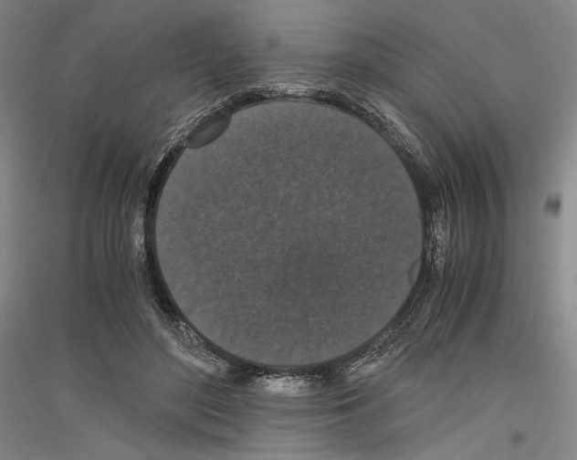 X0000116780500201001281124