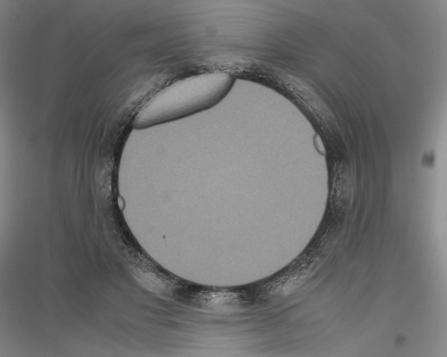 X0000116780501201001281124