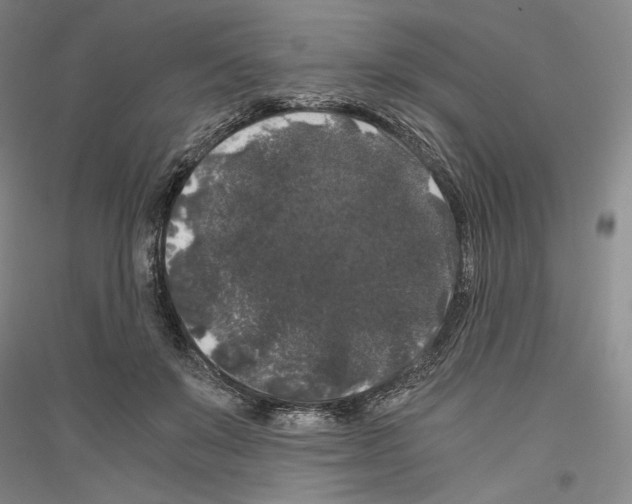 X0000116780503201001281124