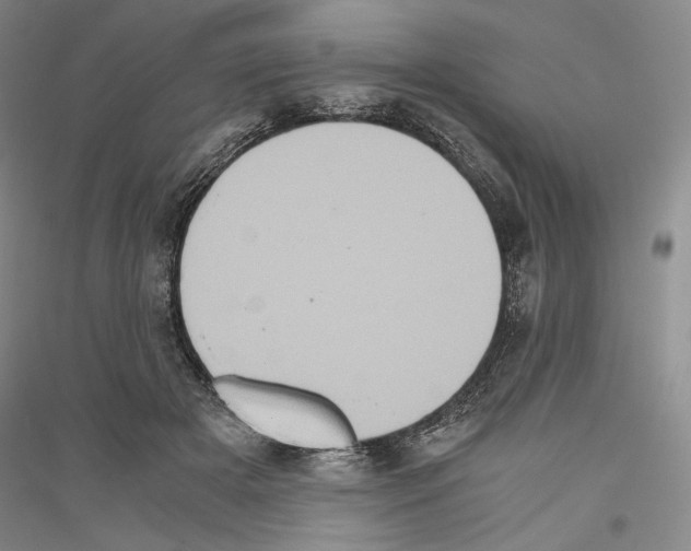 X0000116780505201001281124