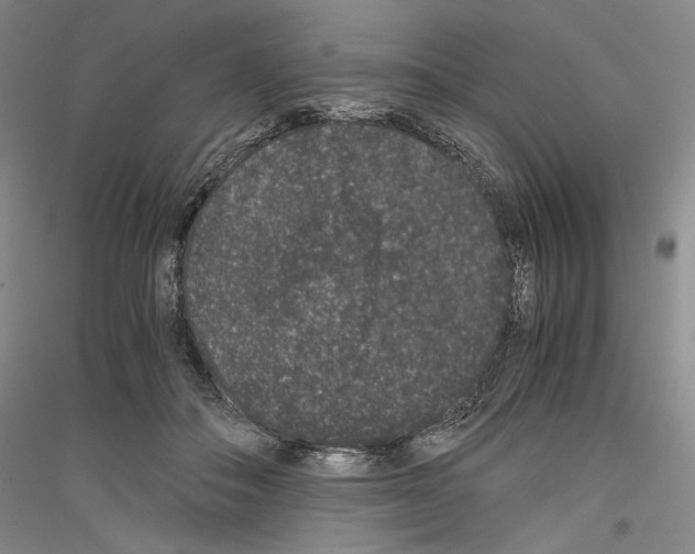 X0000116780506201001281124