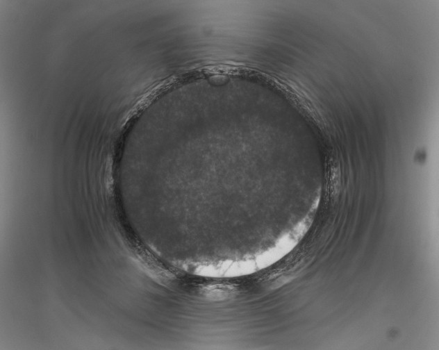 X0000116780508201001281124