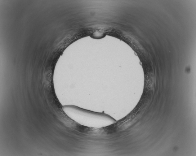 X0000116780509201001281124