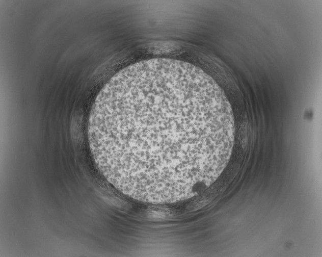 X0000116780510201001281124