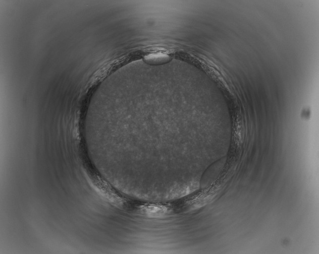 X0000116780512201001281124