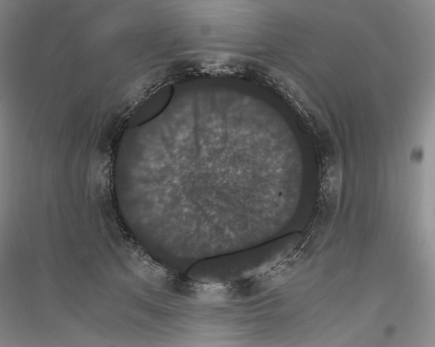 X0000116780513201001281124