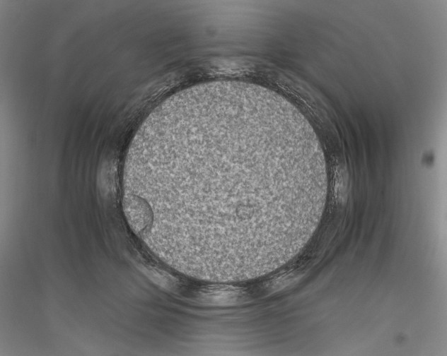 X0000116780514201001281124