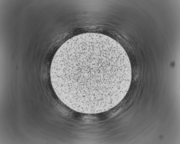 X0000116780515201001281124